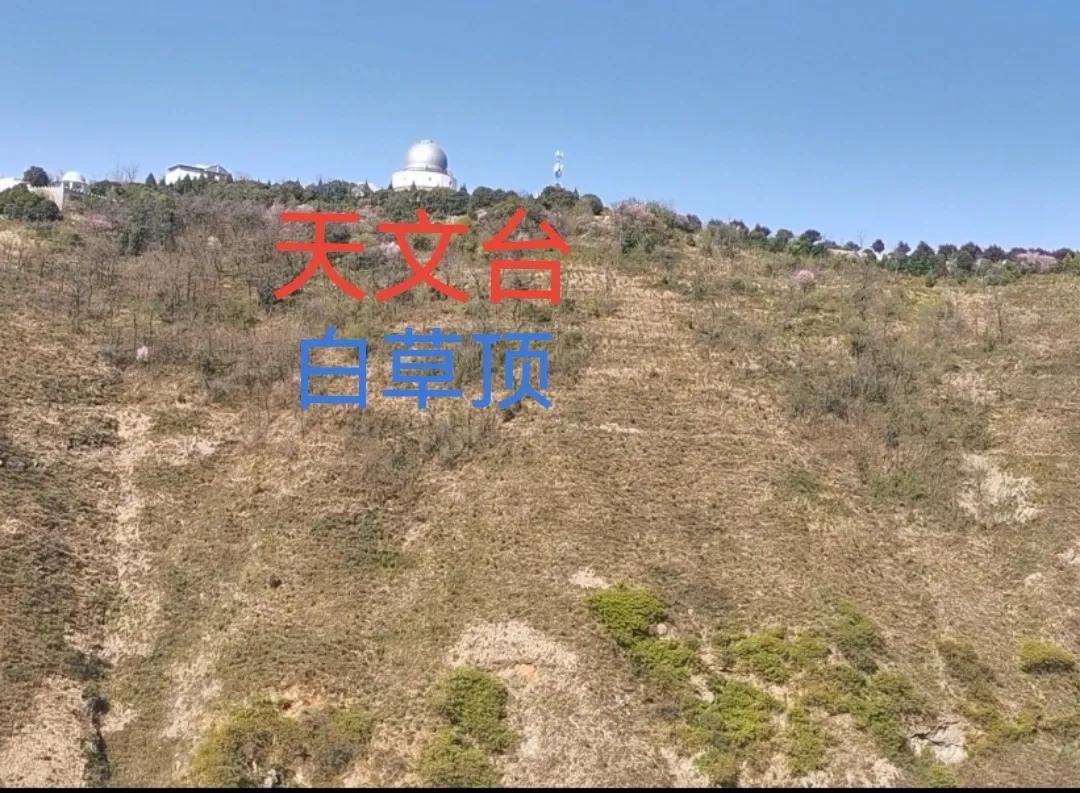 乘着光去旅行音乐,乘着春光去骑行