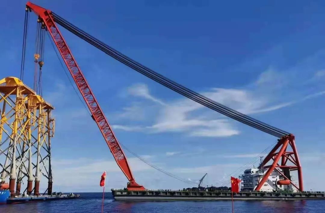 世界顶级海洋日,海洋世界鲸鱼和巨型章鱼战斗