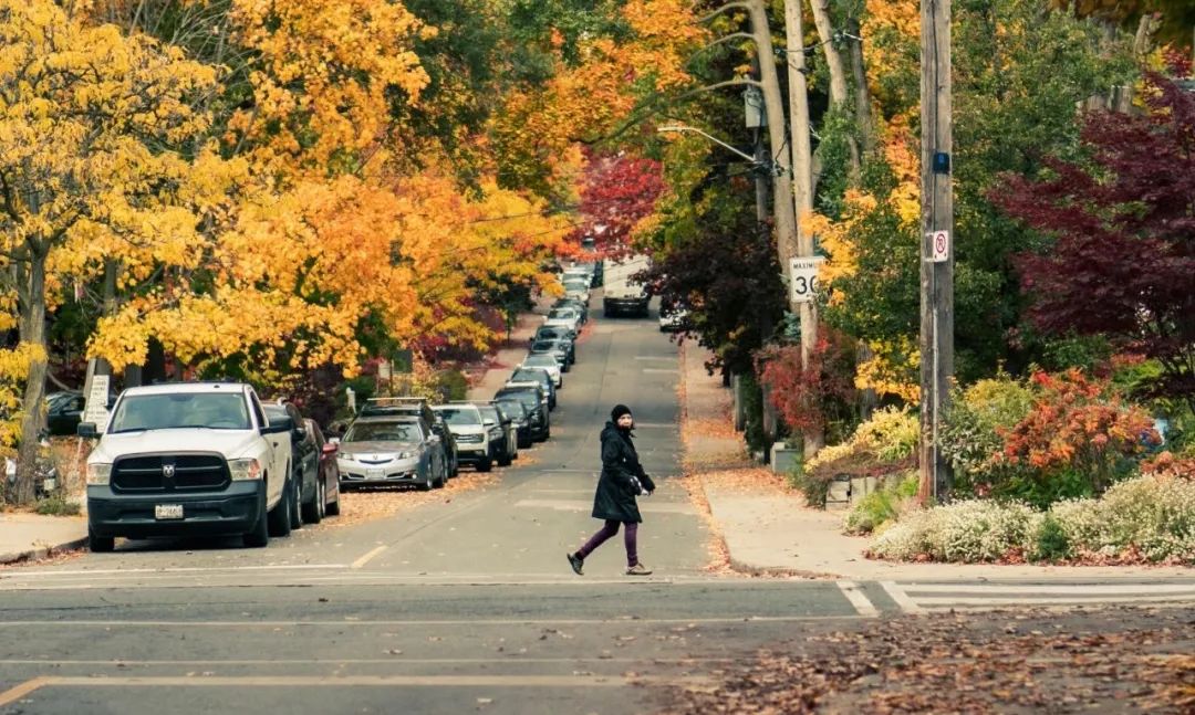 如果感到焦虑的时候就看看书,如果感到焦虑了就去读书吧