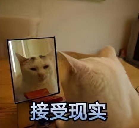 真的有*药春**吗？下“*药春**”是坏！信*药春**是蠢