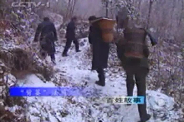 身穿“制服”、头顶彩灯，就职三个月，这个法庭新人“35号”有话要说……