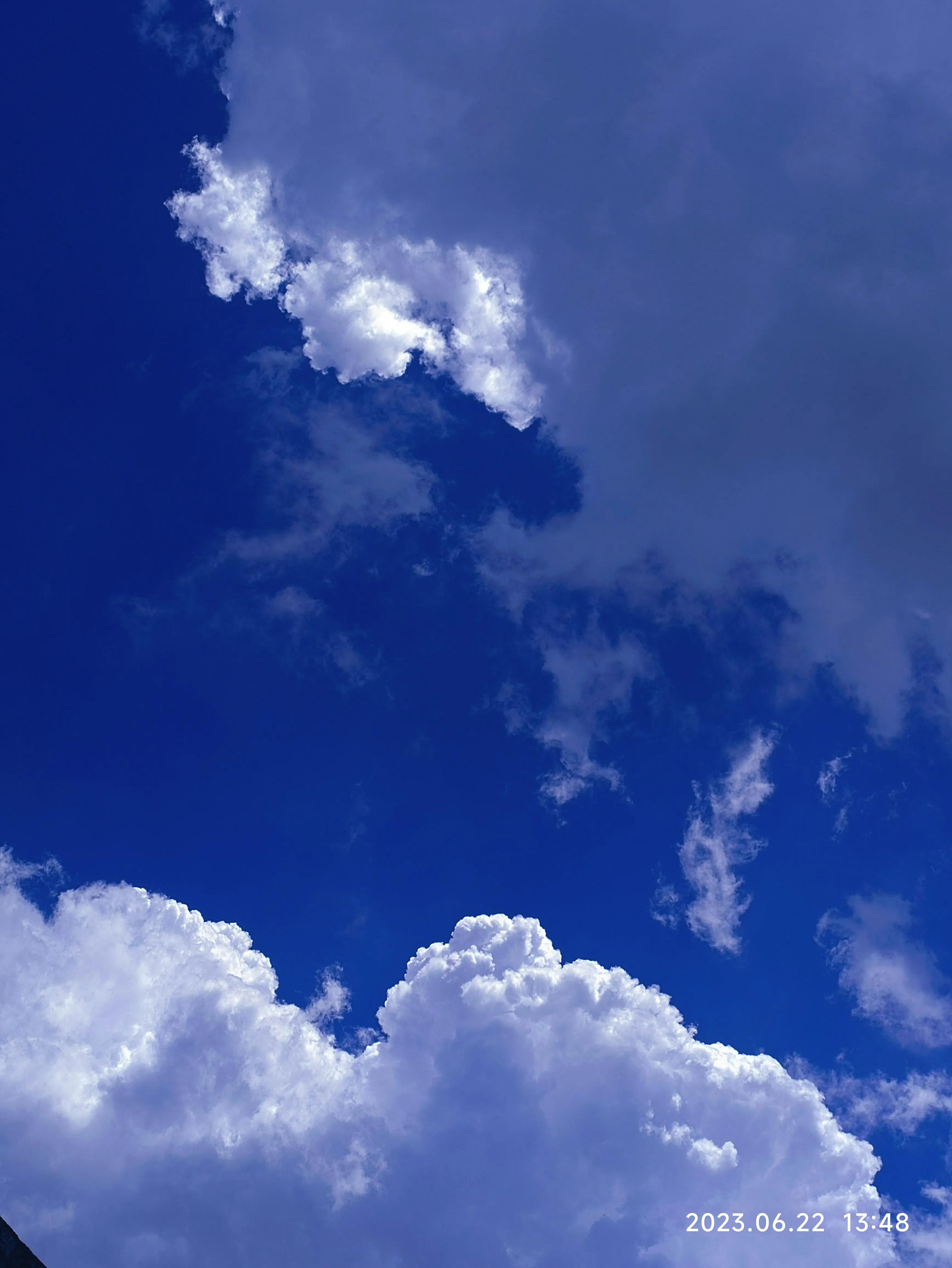 2023济南中考总结,2023年济南市中考排名