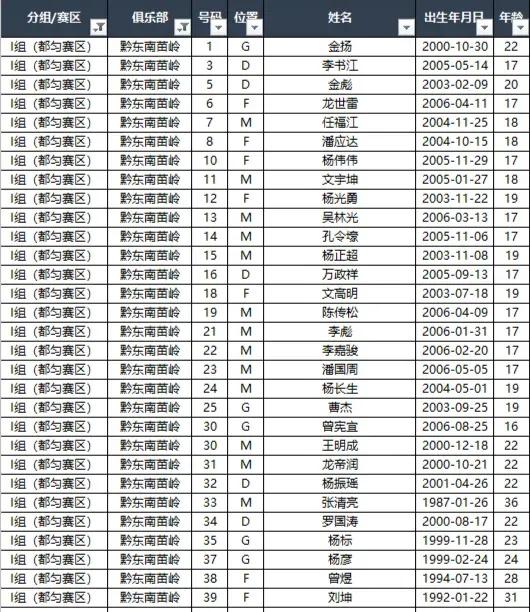 男足中国队总战绩,男足中冠联赛