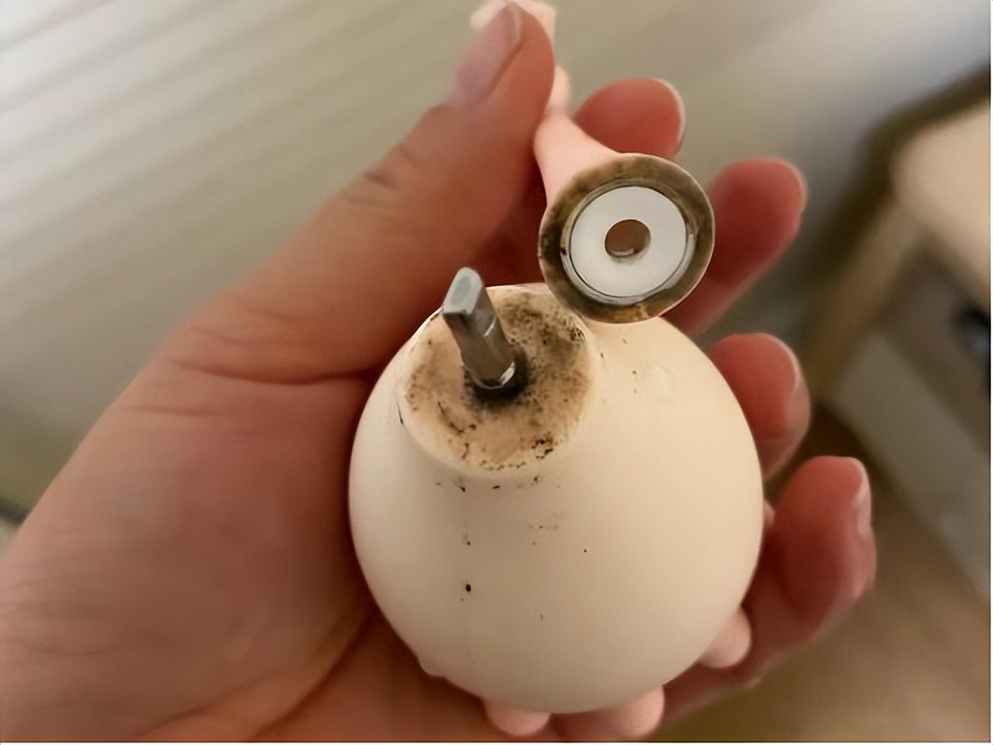 儿童不适合电动牙刷吗？科普四大风险误区