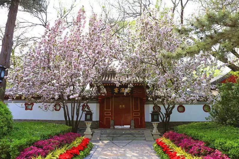 99%的人没看过的老照片,中国三大国宾馆