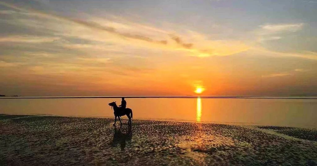 2023华杯赛夏令营,华誉外交官夏令营