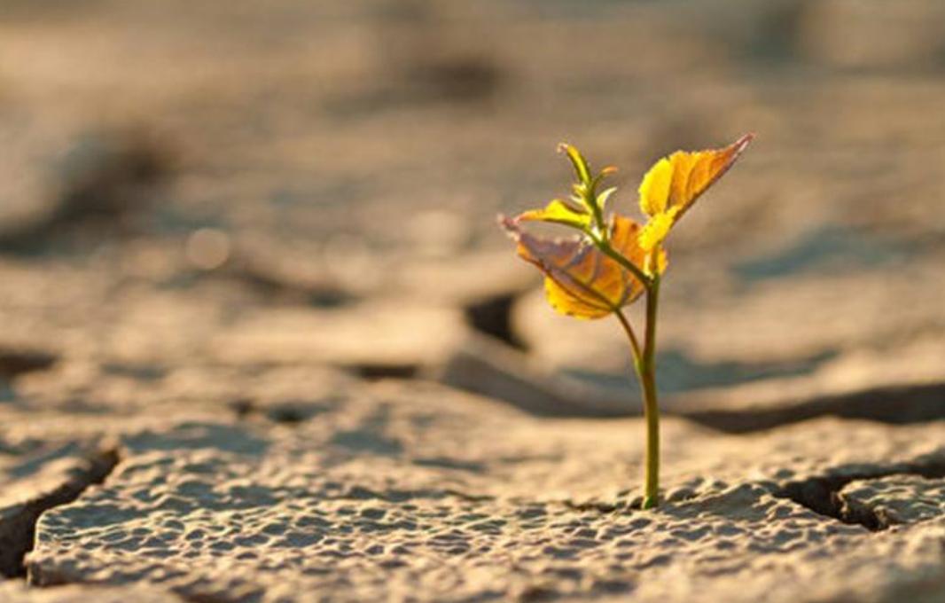 工作无聊怎么打发时间,无聊工作让人很心烦