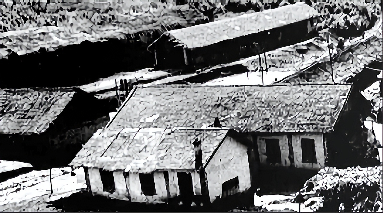 西双版纳上海女知青失踪之谜,西双版纳女知青失踪之谜