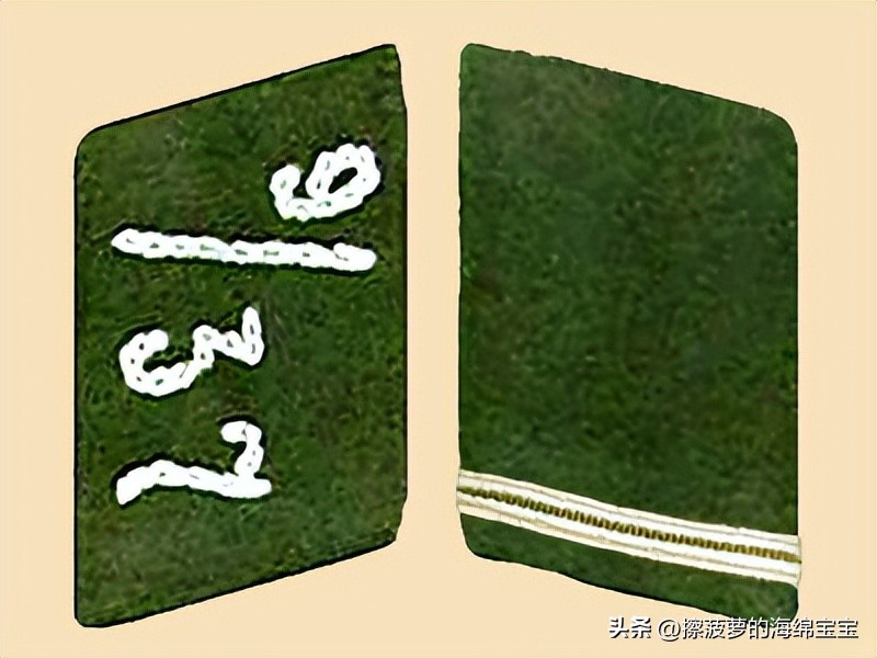 纳粹冲锋队用的什么枪,纳粹德军军衔图解