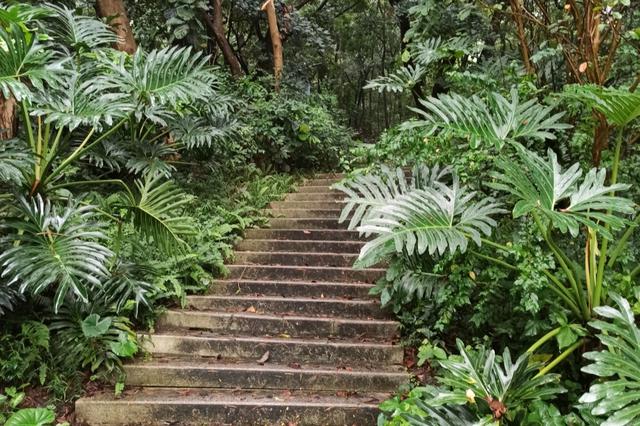 李贺最著名十首诗句,李贺的最经典诗词