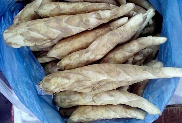 广东正宗番薯特产,广东梅州特产红薯