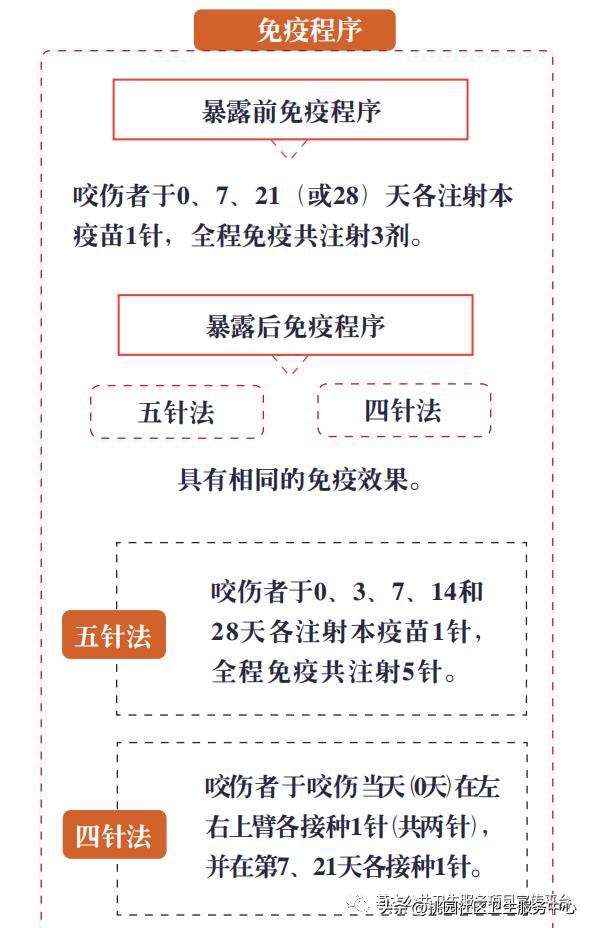 疫苗科普类宣传视频,接种狂犬疫苗科普视频