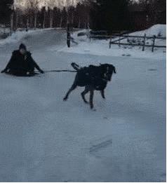 开心一刻一招制敌,开心一刻幽默语句