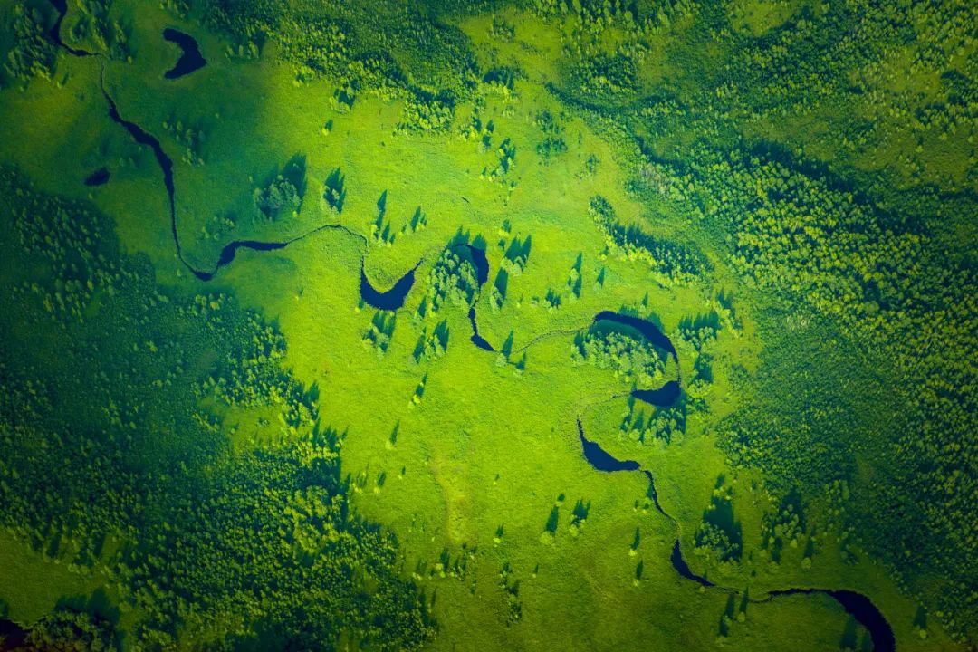 湿地可以开发什么旅游项目,黑龙江旅游必去十大湿地排名