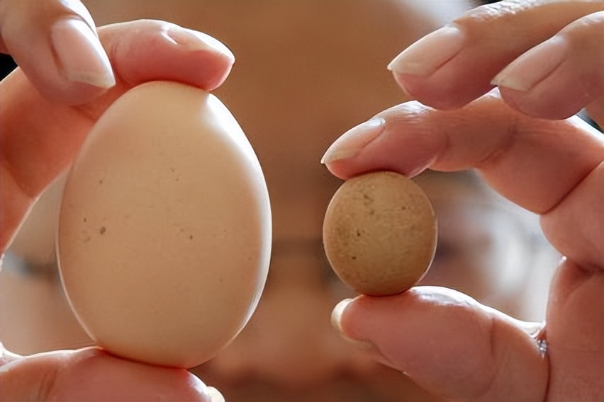 睾丸为什么会扭转,睾囊大小不一正常吗