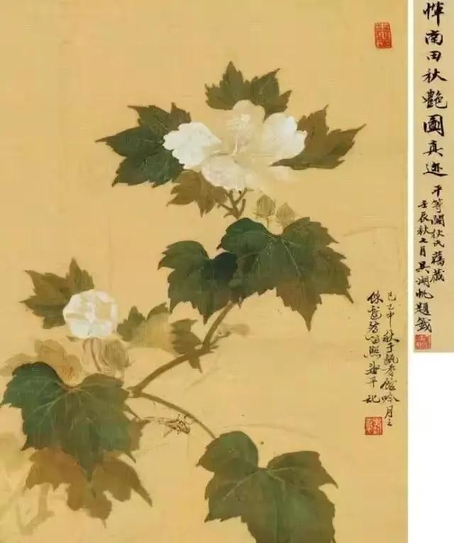 什么是没骨画技法,什么是没骨法画法