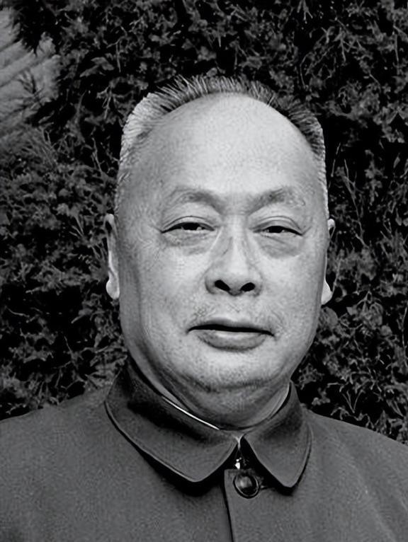 1962年陈毅返乡探母，发现母亲正在藏什么东西，看清后，泪如雨下