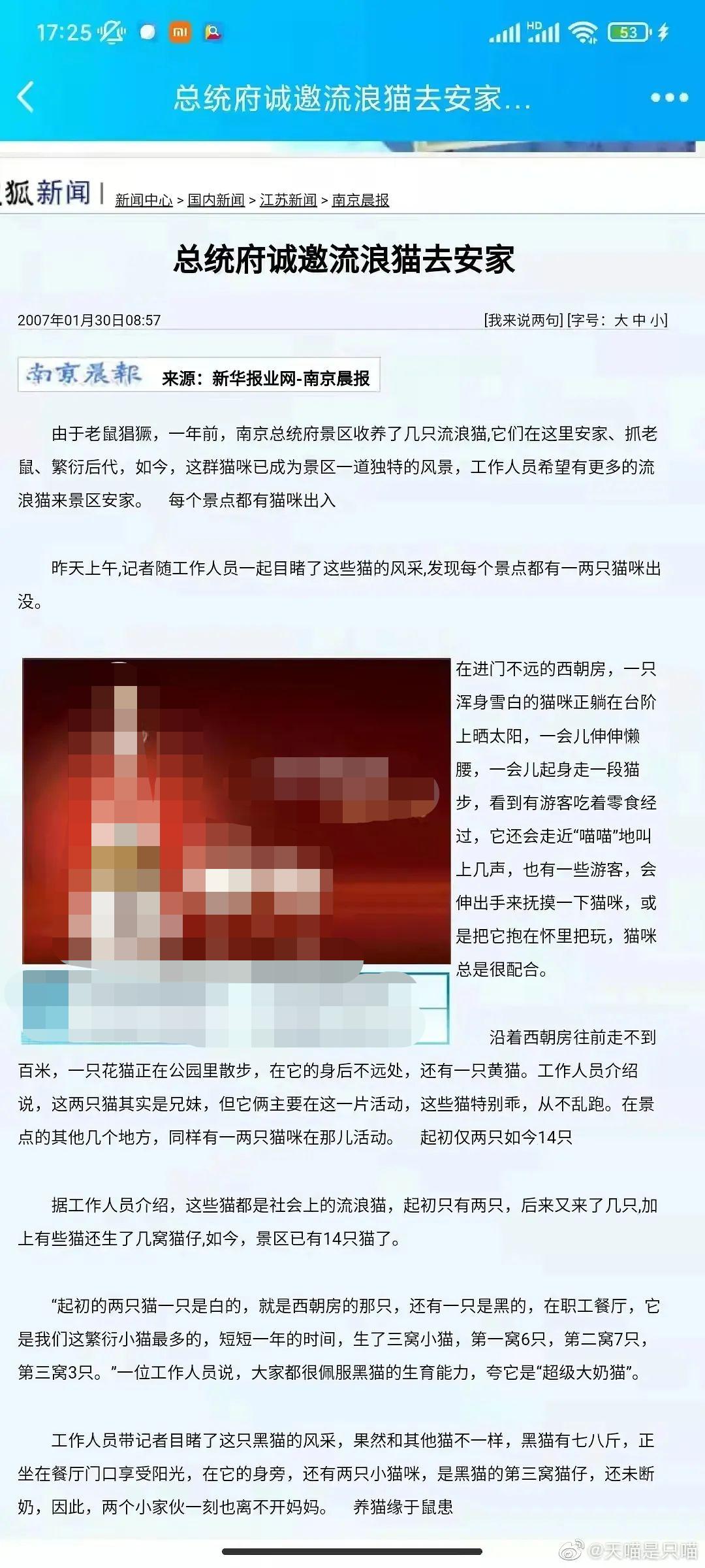 南京流浪猫被集体安乐死,南京总统府流浪猫事件