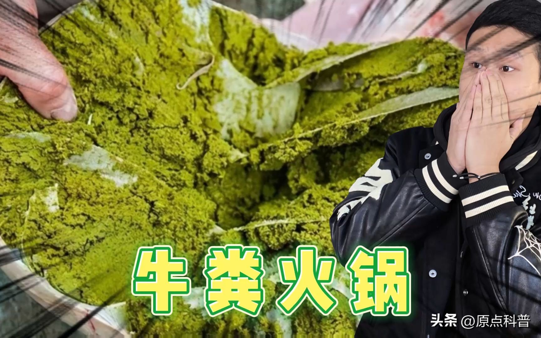 盘点广西十大奇葩美食狗肉,广西特色美食全是经典快来看看吧