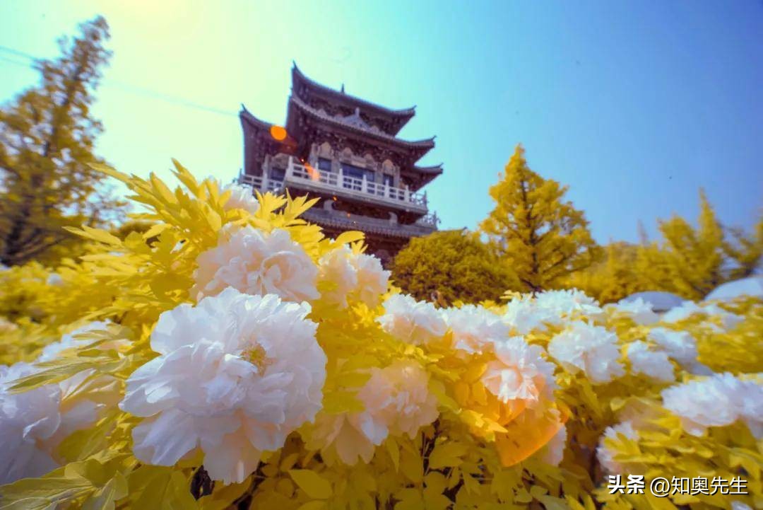 让人惊艳的春天古诗词,诗词里的唯美意境春天