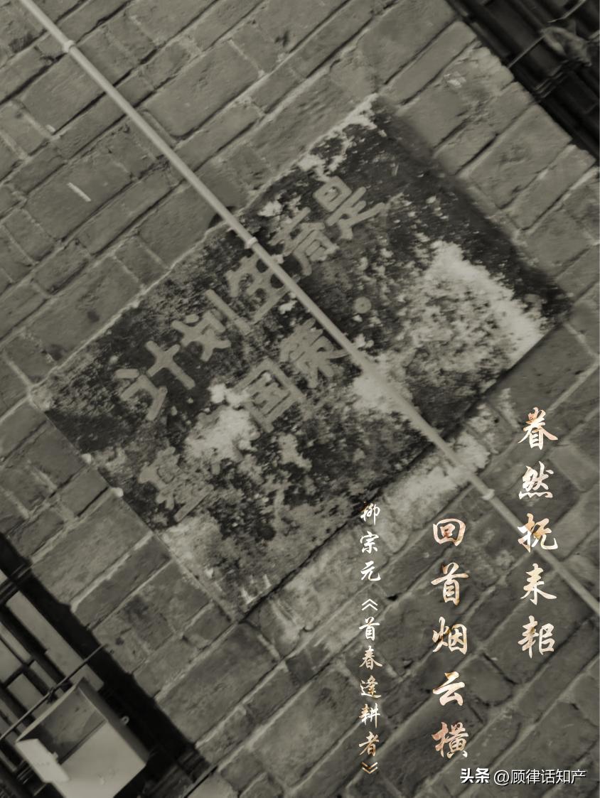 这家公司用成语“金戈铁马”作为商品名称，却被法院判赔20万？