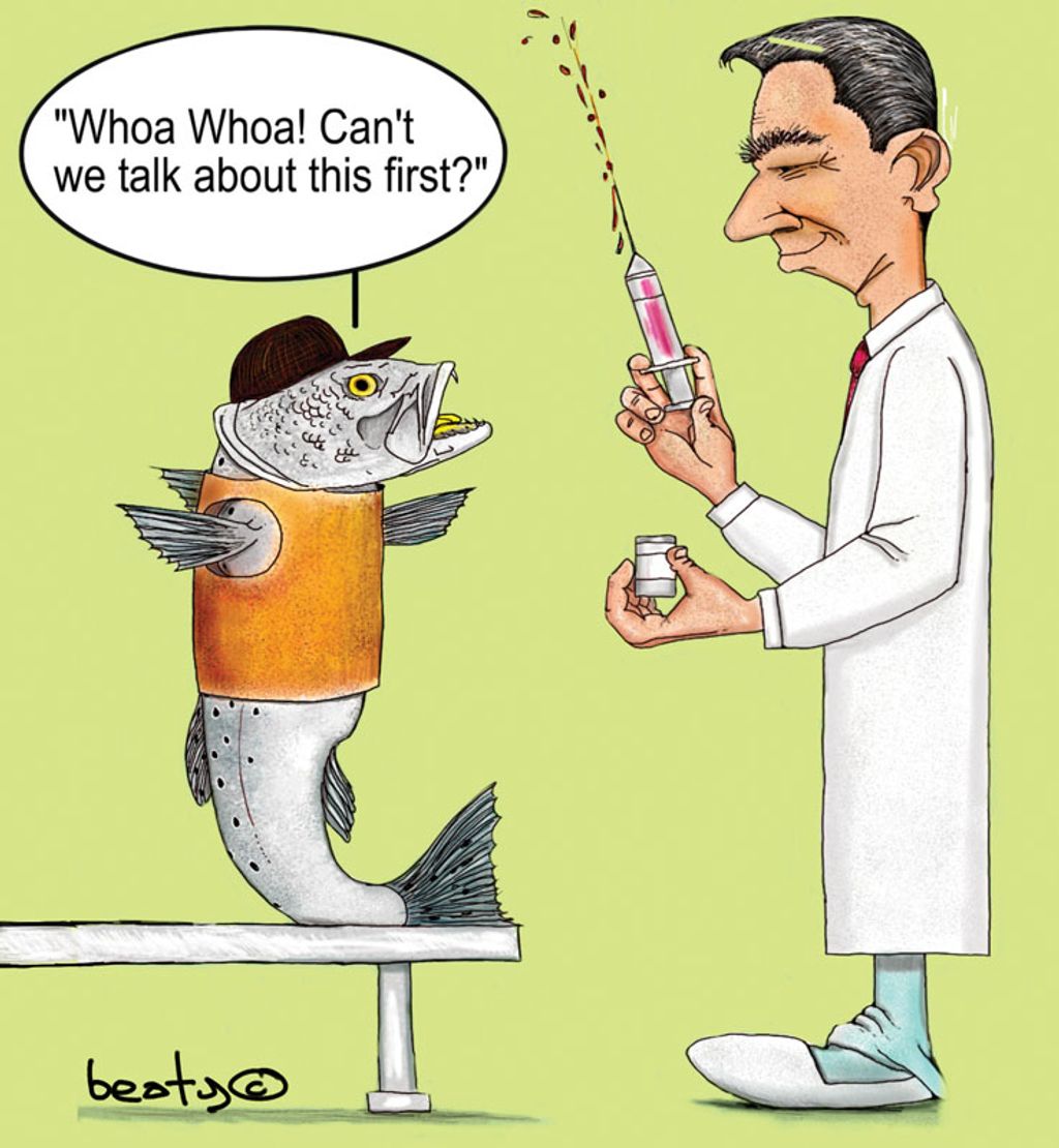 日本最残酷的杀鱼方式,日本人杀鱼绝招