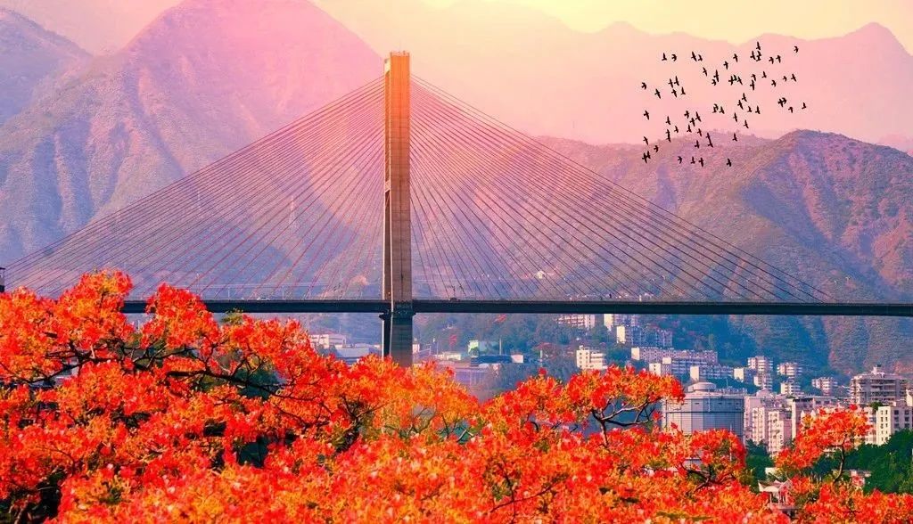 攀枝花领地阳光花城,攀枝花普达阳光康养胜地