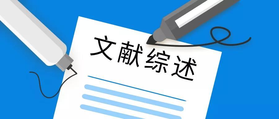 论文前言到底怎么写的,论文居然还能这样写