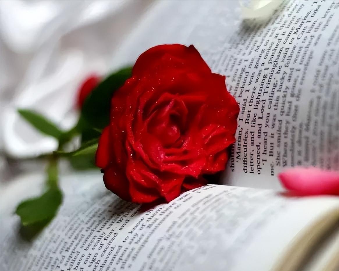 520致我爱的人和爱我的人,520致对我最在乎的人