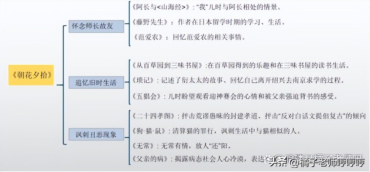 鏈濊姳澶曟嬀蹇呰儗鐭ヨ瘑鐐瑰畬鏁寸増,鏈濊姳澶曟嬀鍓嶄笁绡囧繀鑰冪煡璇嗙偣