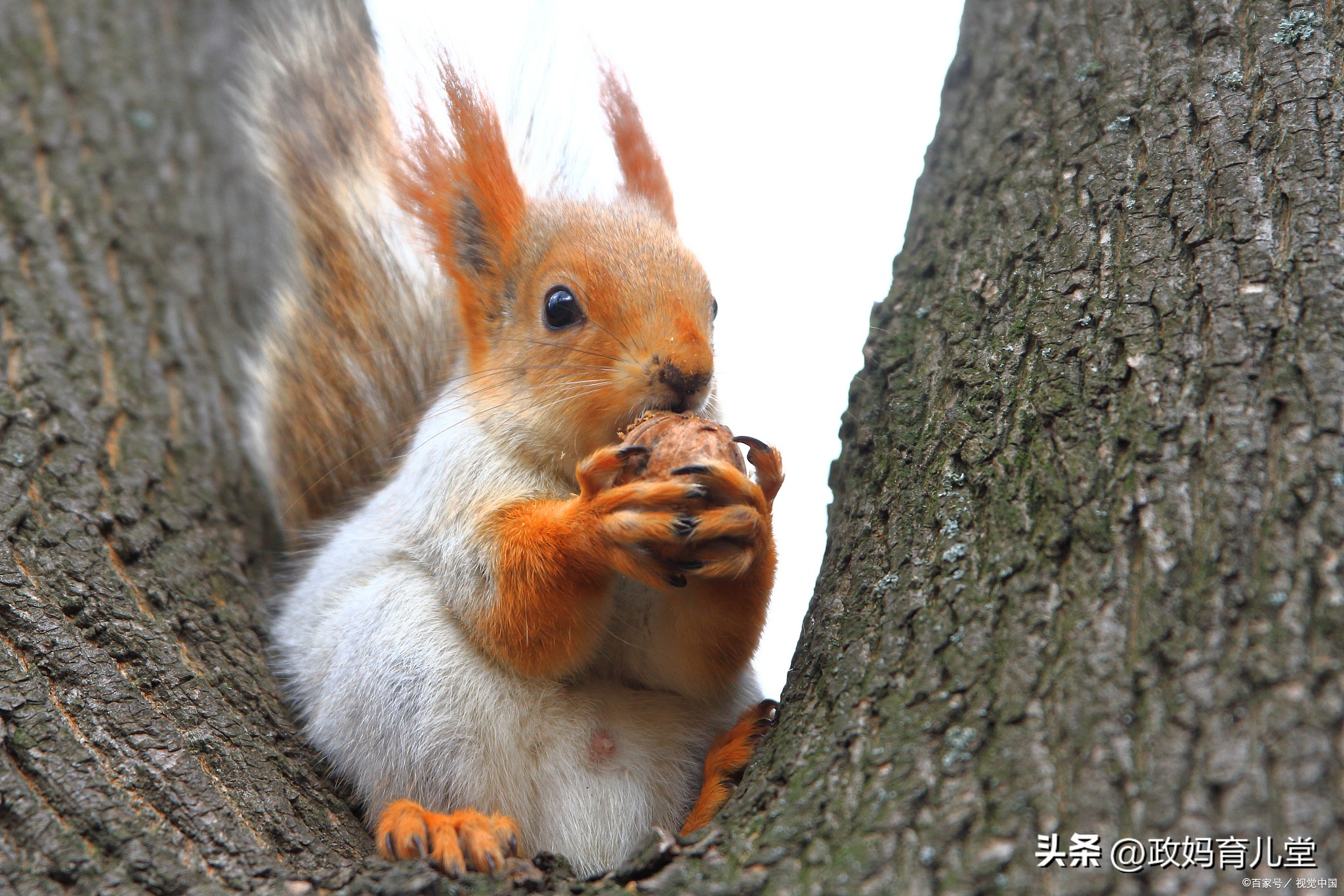 广州出发四天三晚旅游推荐亲子游,上海亲子游旅游2-3天详细攻略