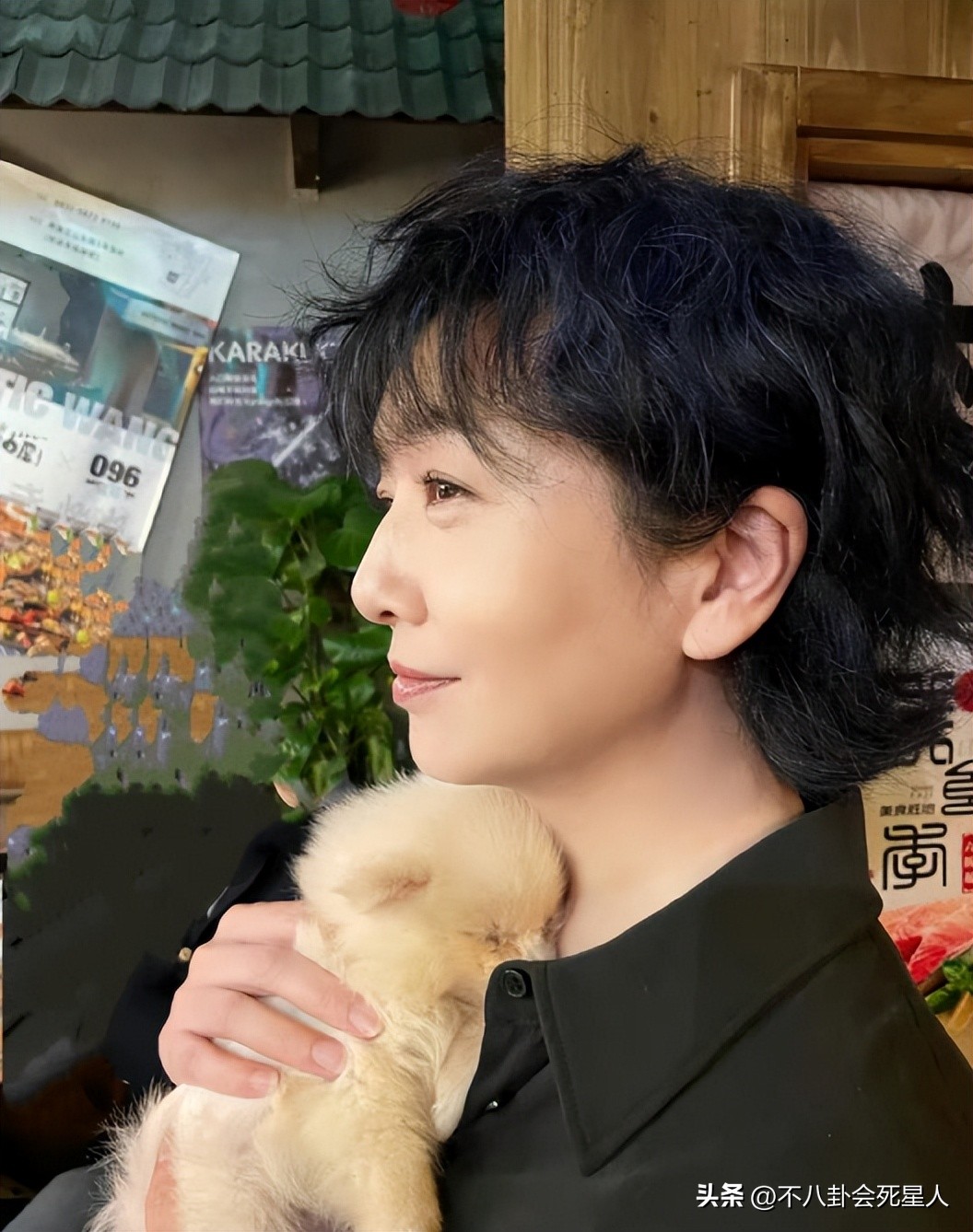 江珊陶慧敏,江珊和陶慧敏