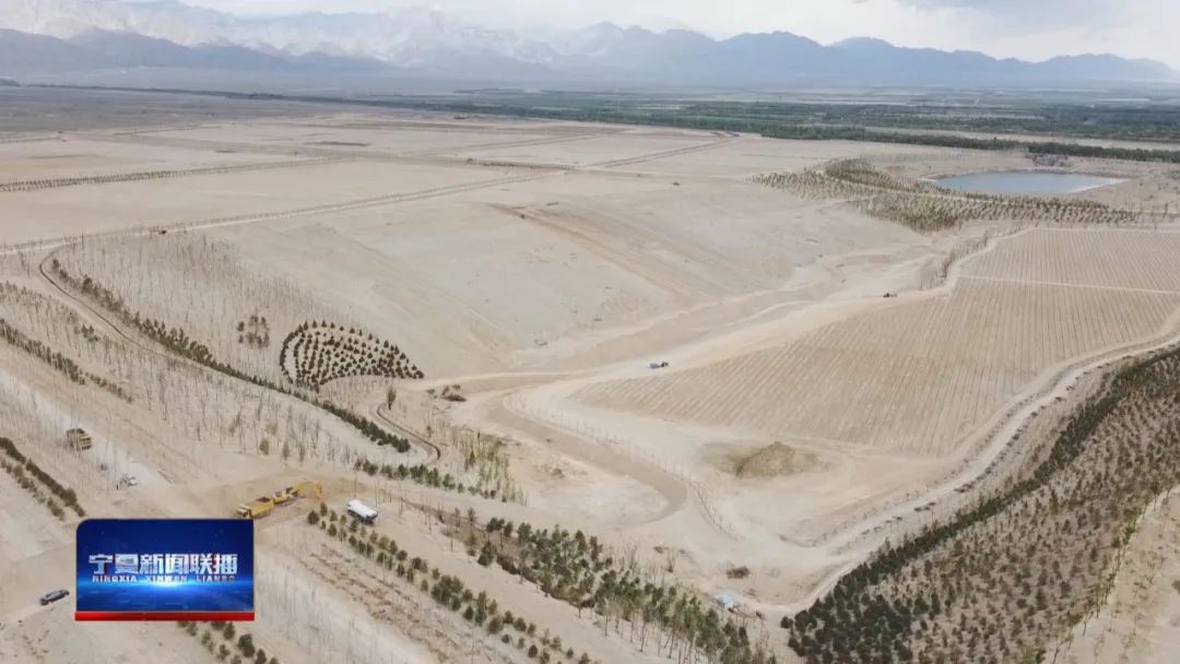 中国葡萄酒惊艳世界,中国葡萄酒震惊世界