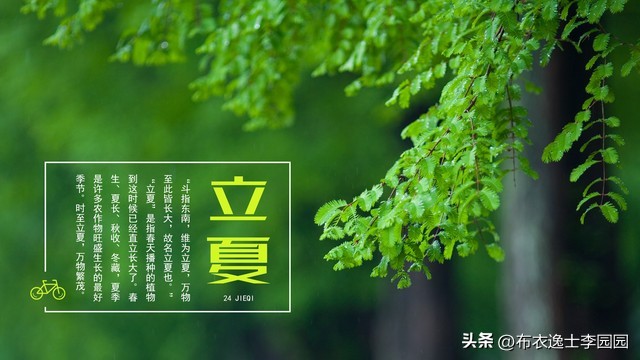 敬一丹二十四节气立夏,二十四节气闲吟之立夏