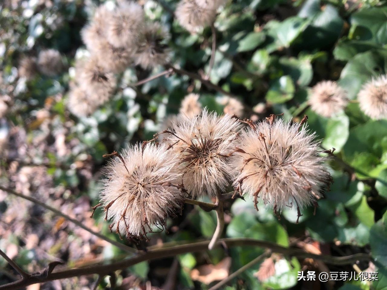 火车票购票身高标准,购买火车票不知道车站在哪