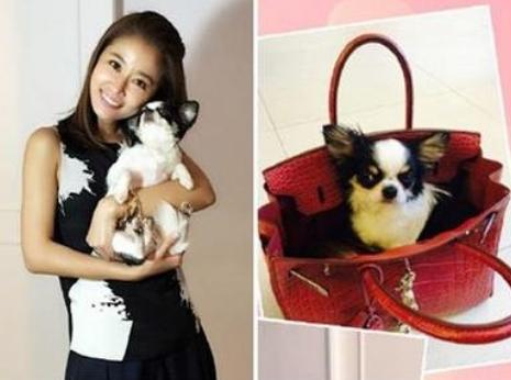 林心如为女儿买3亿元珠宝,林心如花3亿元买珠宝给女儿