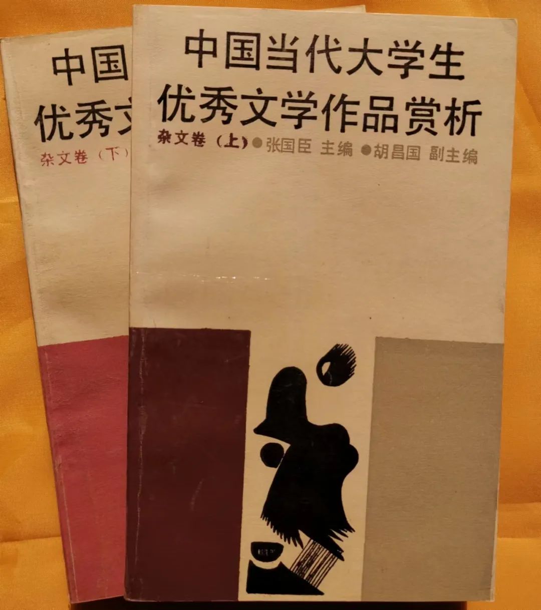 河南工学院张国臣,张国臣的圆梦与启航