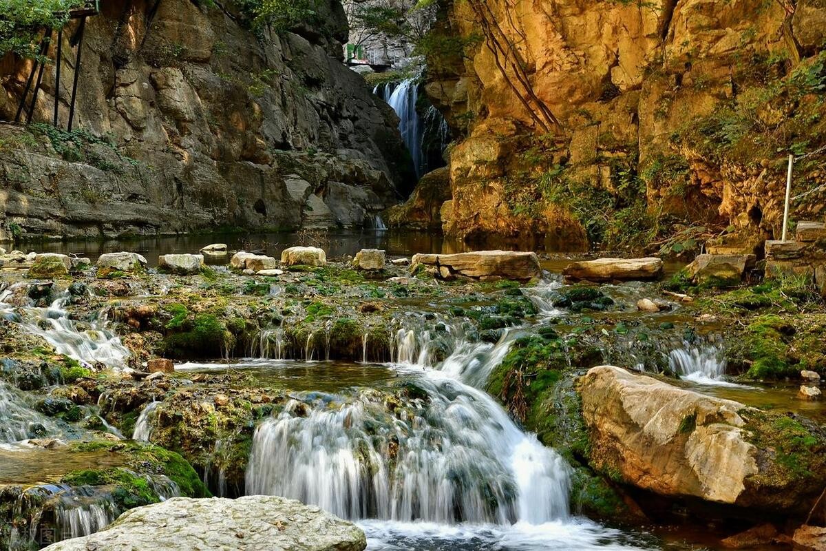 王莽岭避暑的好地方,王莽岭避暑怎么样