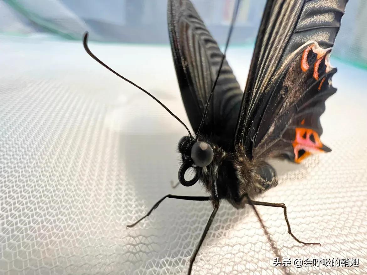 5个月的等待,经过5个多月的漫长等待