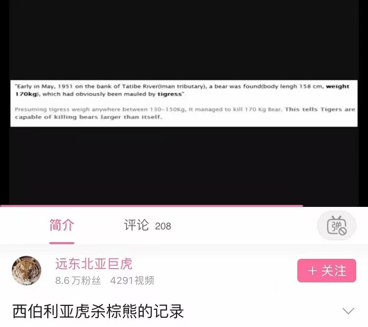 老虎和棕熊同等体重谁厉害,同等体型体重的老虎和狮子谁厉害