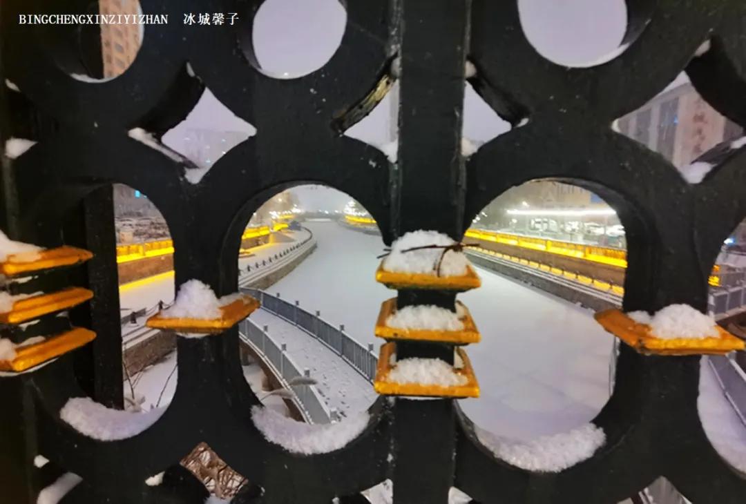 哈尔滨昨天的大雪,哈尔滨冬天的鹅毛大雪