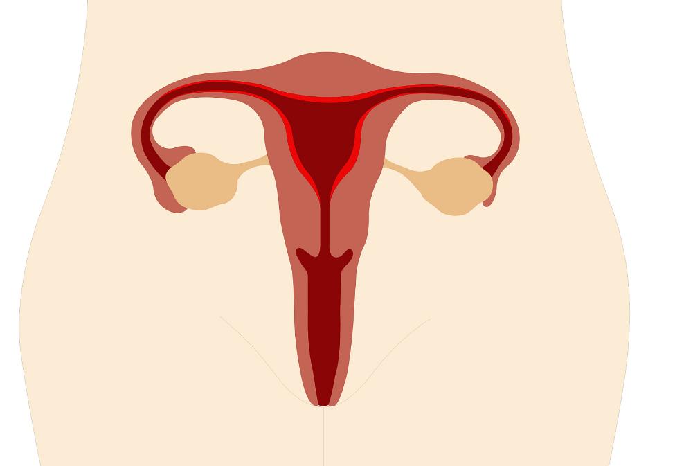 没有阴道的女人，和正常女性有何差异?“石女”到底是怎么回事?