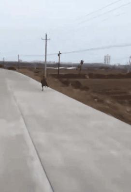 “车间女孩约我去她宿舍玩，这时候应该干点什么？”哈哈哈