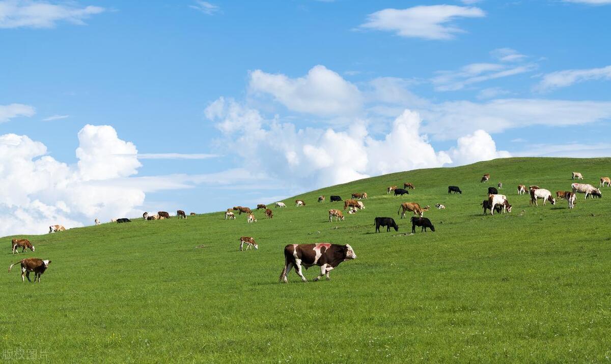 郑州去内蒙古自驾游最佳路线攻略,从四川到内蒙古沿途自驾游攻略