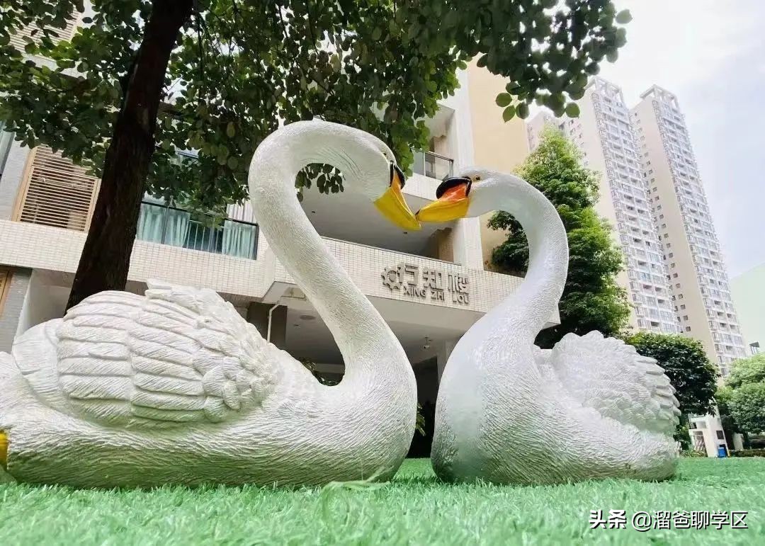 中和b学区哪个学校好,成都中和a区学校