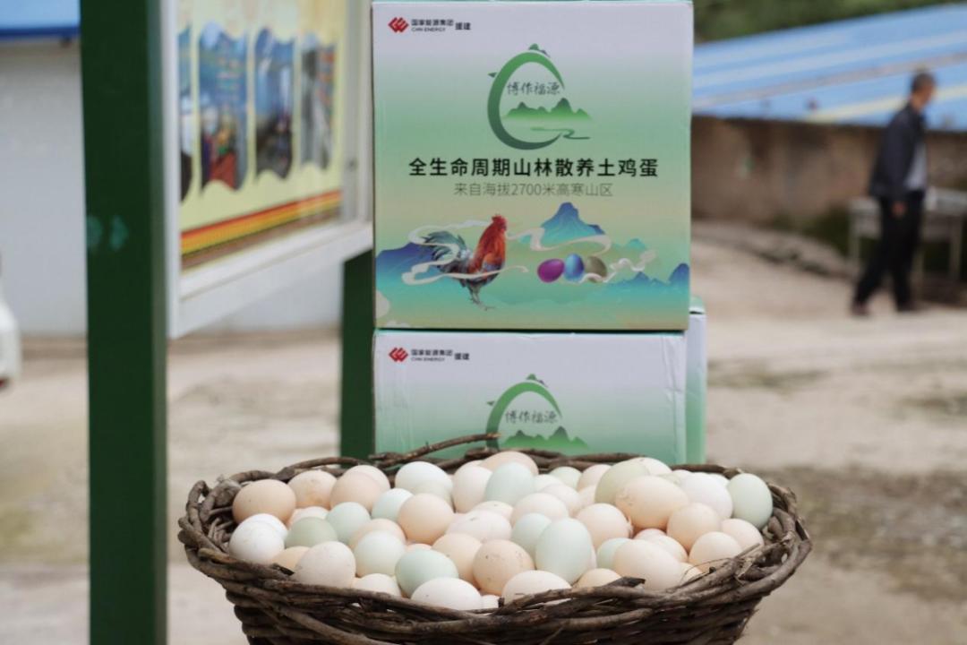 东西部协作助力乡村振兴,东西部地区协同发展项目