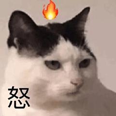 “我再也不想跟老公一块睡了”网友：我出50块，把床铺大点哈哈哈