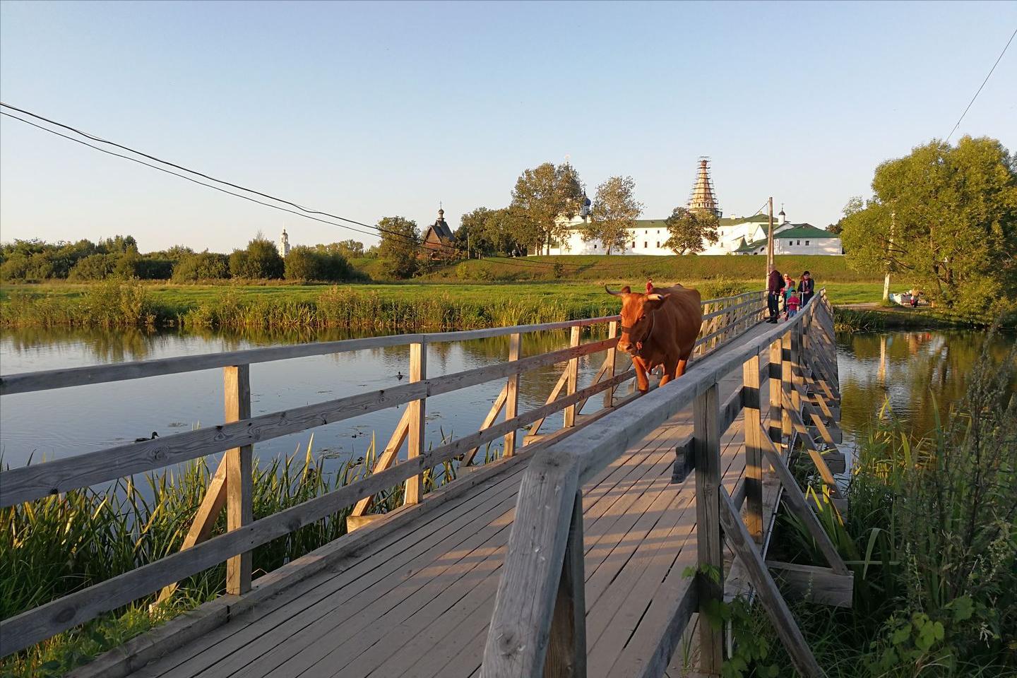 50张图片长见识,32张照片看真实的俄罗斯