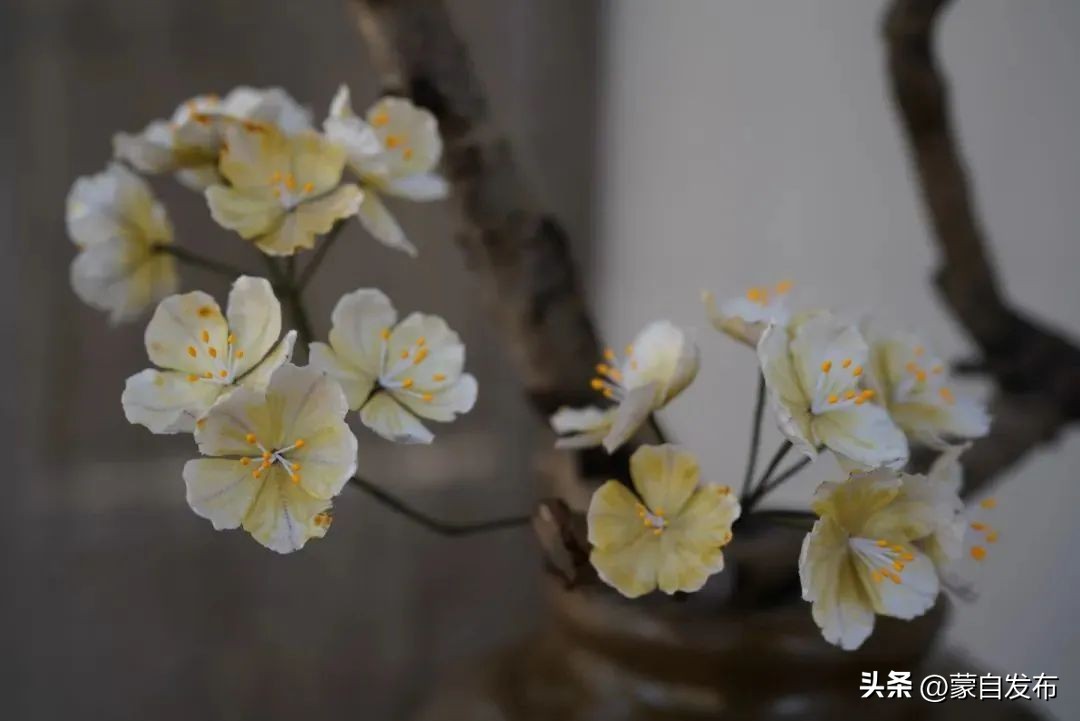 美食、乐队、集市...超多活动精彩来袭！这个“五一”玩转蒙自