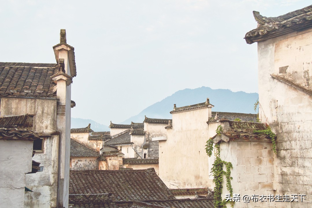 大行情新一轮财富分配大机会,大行情尾声后的行情